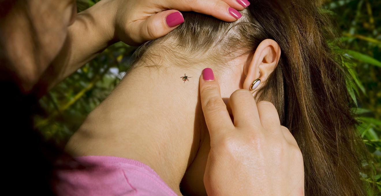 Що робити, якщо вас укусив кліщ