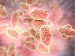 Обережно, кашлюк!